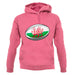 Welsh Flag Rugby Ball Unisex Hoodie