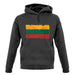 Lithuania Grunge Style Flag unisex hoodie